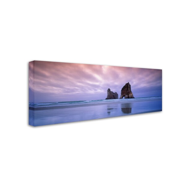 David Evans 'Archway Islands-Wharariki Beach-NZ' Canvas Art,16x47